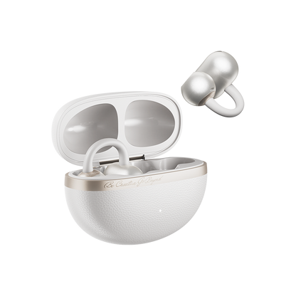 QCY Crossky C50